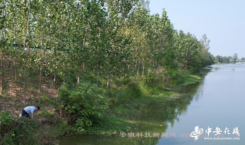 第一次来到父亲张凤连牺牲的河边，儿子张洪不禁双膝跪地，失声痛哭。