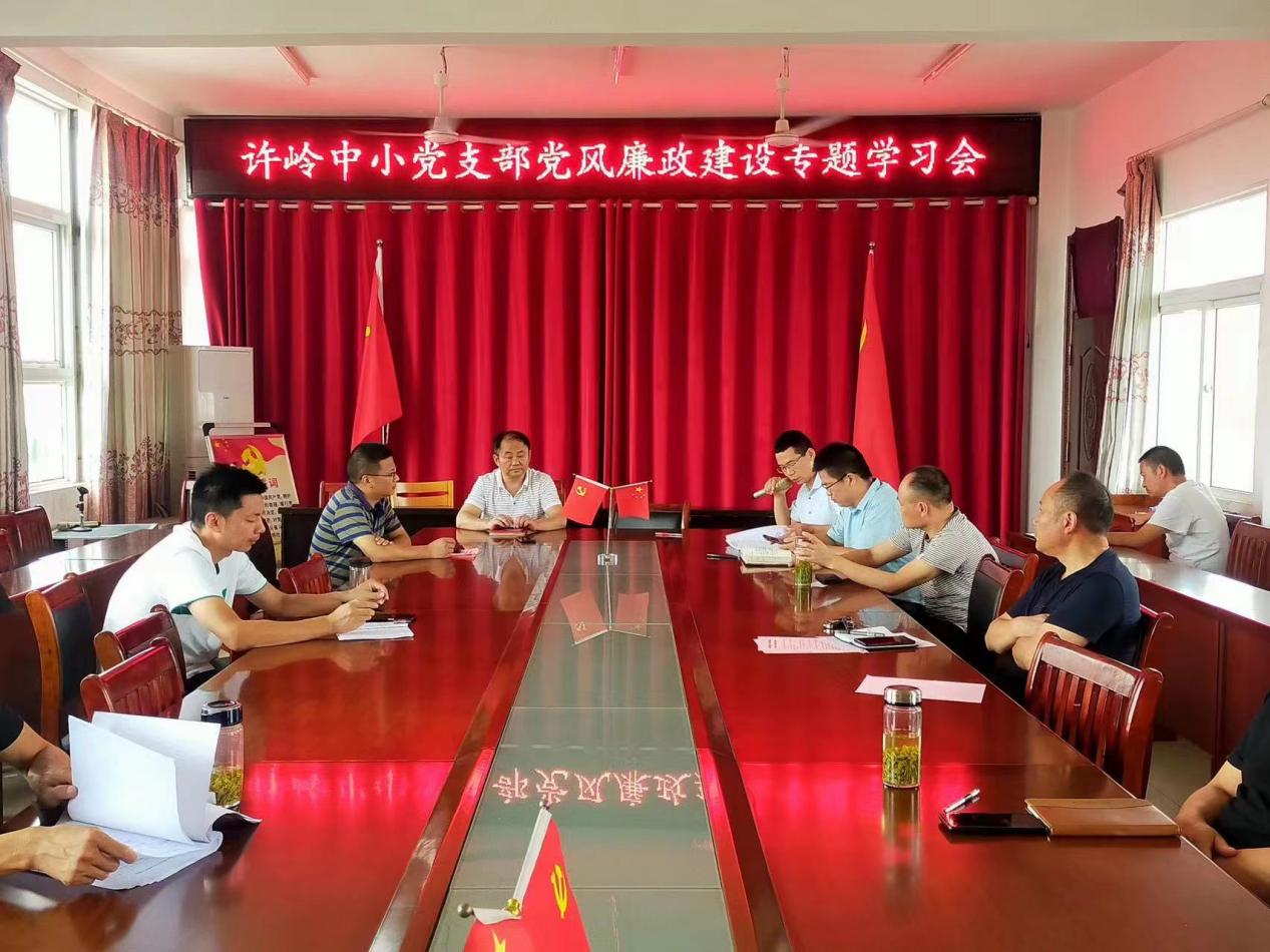 宿松县许岭镇中心小学党支部召开党风廉政建设专题学习会_聚焦县区