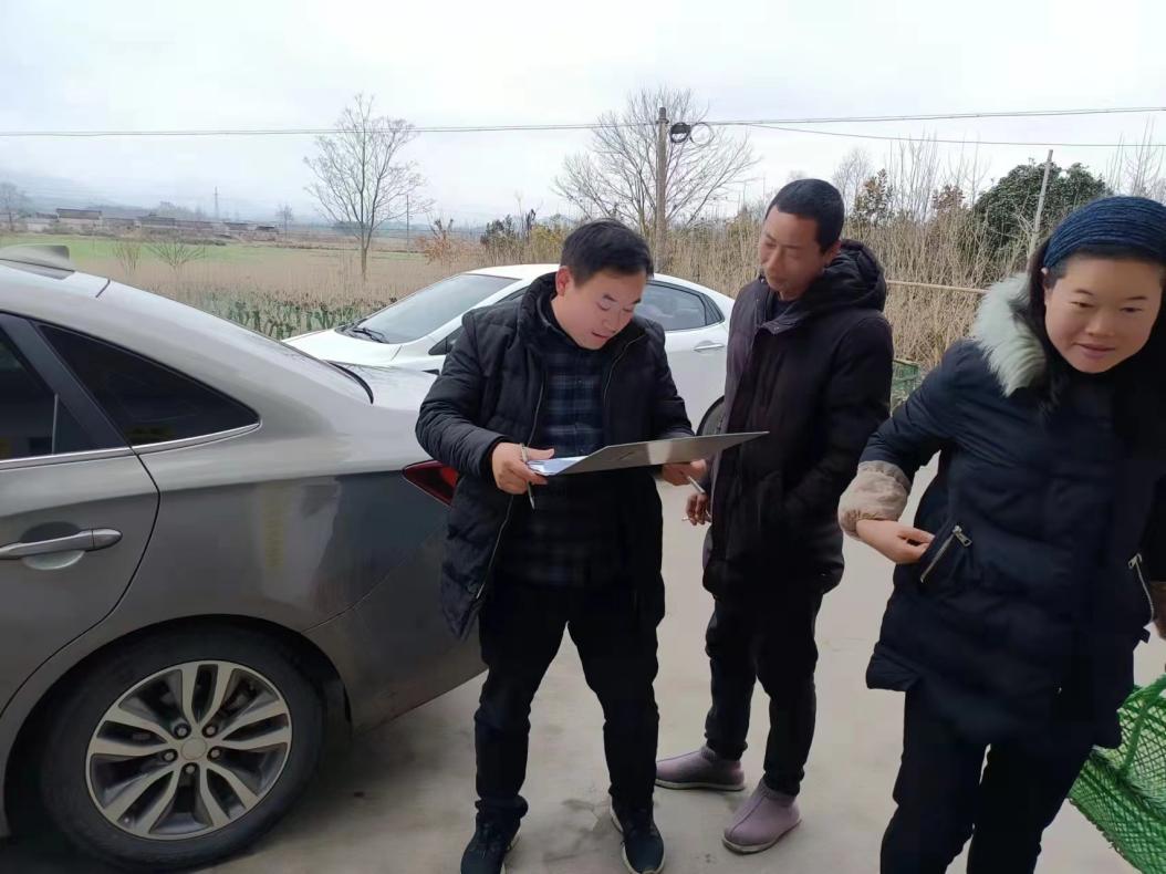 泾县云岭镇:科技特派员"对症下药"助力乡村振兴